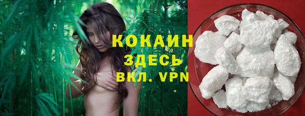 соль курить ск Верея
