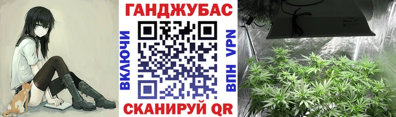 купить закладку  Новосокольники  Канабис SATIVA & INDICA 